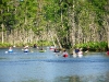 sturgeon-group